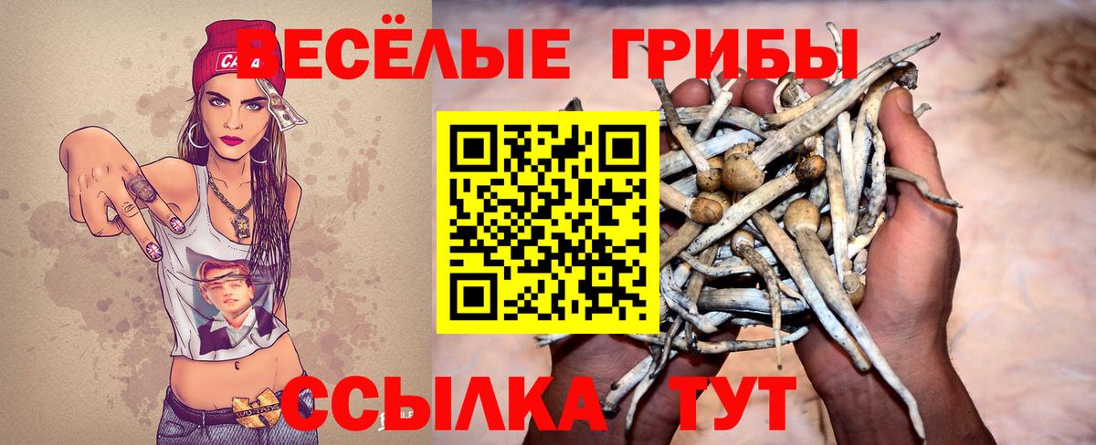 Псилоцибиновые грибы мухоморы  Вход с VPN  Карачаевск 
